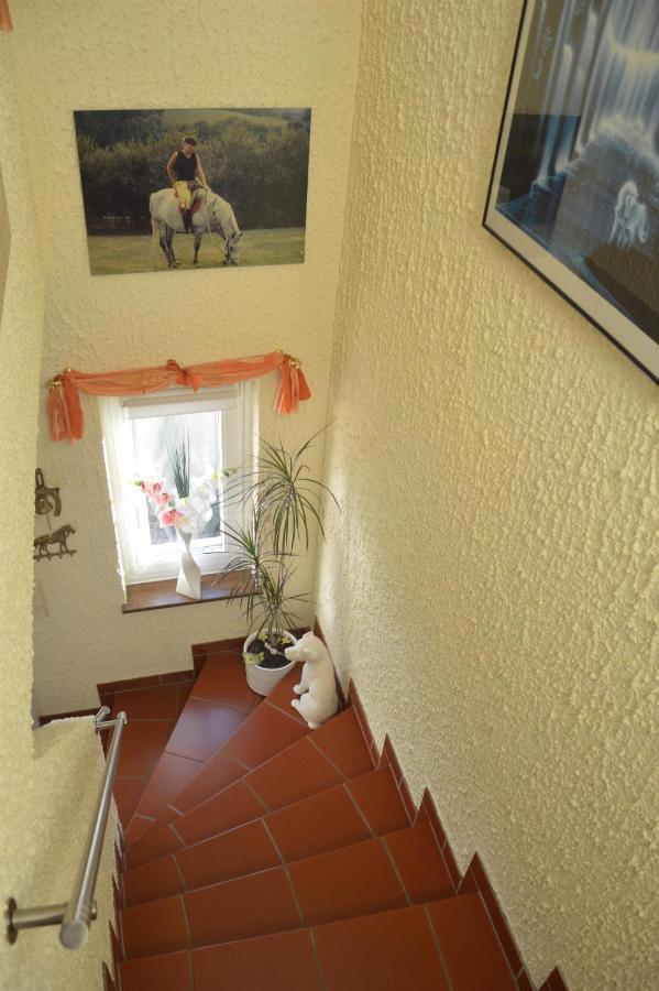 Ferienwohnung Auszeit Waxweiler ภายนอก รูปภาพ